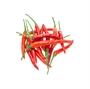 Picture of Red Chilli