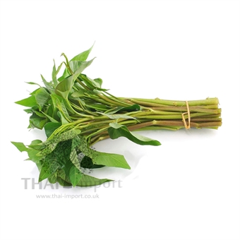 Picture of Thai Morning Glory (3KG+)