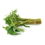 Picture of Thai Morning Glory (3KG+)