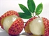 Picture of Lychee (3KG +)