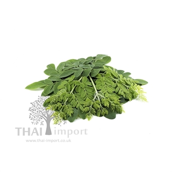 Picture of Moringa Leaf